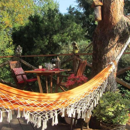 Domaine De La Carrauterie By Terre Insolite Sautin Екстериор снимка